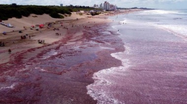 El mar se tiñó de rojo en la costa entre Mar del Plata y Necochea