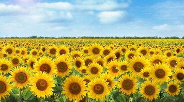 Girasoles, folklore y jineteada: la Fiesta Provincial arranca con todo en Necochea