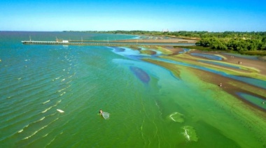 Laguna de Lobos: emiten alerta roja por la presencia de cianobacterias