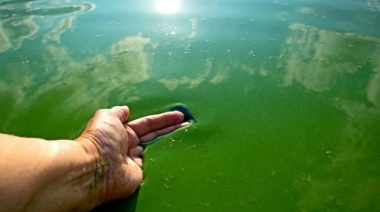 Rige una alerta sanitaria por cianobacterias en ocho municipios bonaerenses