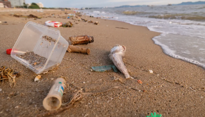 Vuelve el censo de basura costera: será el sábado en 22 localidades bonaerenses