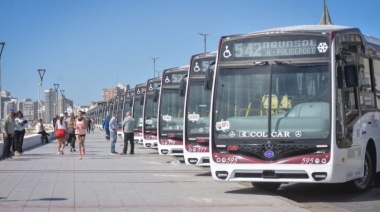 En plena temporada, Mar del Plata se queda sin colectivos