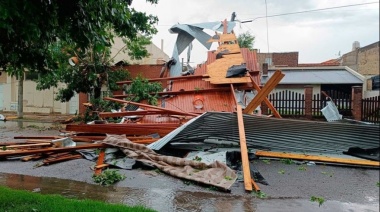 Temporal en Miramar: barrios sin luz, árboles caídos y estructuras dañadas 