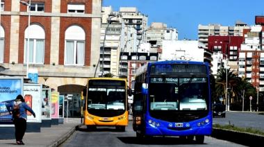 Mar del Plata: piden que el boleto de colectivo cueste $1296,56