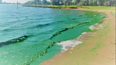 Cuáles son los 10 municipios bonaerenses en alerta naranja por cianobacterias