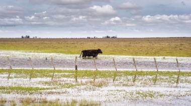 Casi 2 millones de hectáreas bajo el agua en la provincia: las pérdidas son “muchísimas”