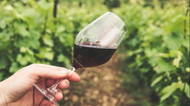 La Ruta del Vino Bonaerense se consolida con experiencias gourmet y paisajes inolvidables
