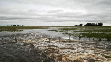 El Gobierno declaró la emergencia agropecuaria en diez municipios bonaerenses