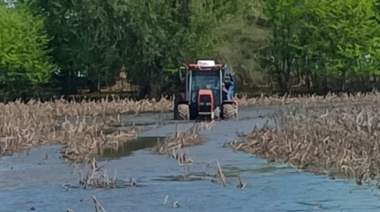 Inundaciones: prorrogan la emergencia agropecuaria a varios distritos bonaerenses