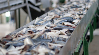 La Costa refuerza la pesca artesanal con nuevos puntos de venta