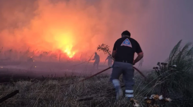 Incendios forestales en el sur de Mar del Plata ya afectaron más de 200 hectáreas