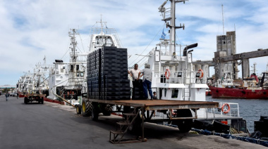 El puerto de Mar del Plata aumentó sus desembarques un 6%
