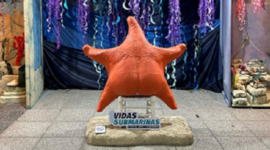 La muestra "Vidas submarinas" inicia una gira por cinco municipios de la Provincia