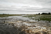 El Gobierno declaró la emergencia agropecuaria en diez municipios bonaerenses