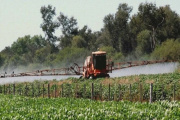 La Corte bonaerense frenó artículos clave de las ordenanzas sobre agroquímicos en Tandil y Rauch