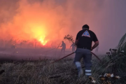 Incendios forestales en el sur de Mar del Plata ya afectaron más de 200 hectáreas