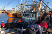 Mar del Plata: tensión en el sector pesquero por medidas del sindicato naval