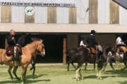 Chascomús: la Expo Caballos 2026 reunirá al mundo ecuestre en el finde largo