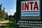INTA Balcarce: los retiros voluntarios redujeron un 18% la planta de personal