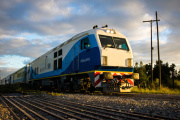 Trenes Argentinos lanzó pasajes a Mar del Plata y sumó una opción para mascotas