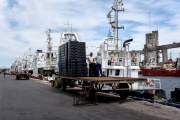 El puerto de Mar del Plata aumentó sus desembarques un 6%