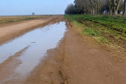 Productores de General Guido demandaron al Municipio por el estado de los caminos rurales