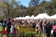 Expo Vivero Cazón tendrá tres días de plantas, feria y música con entrada gratuita