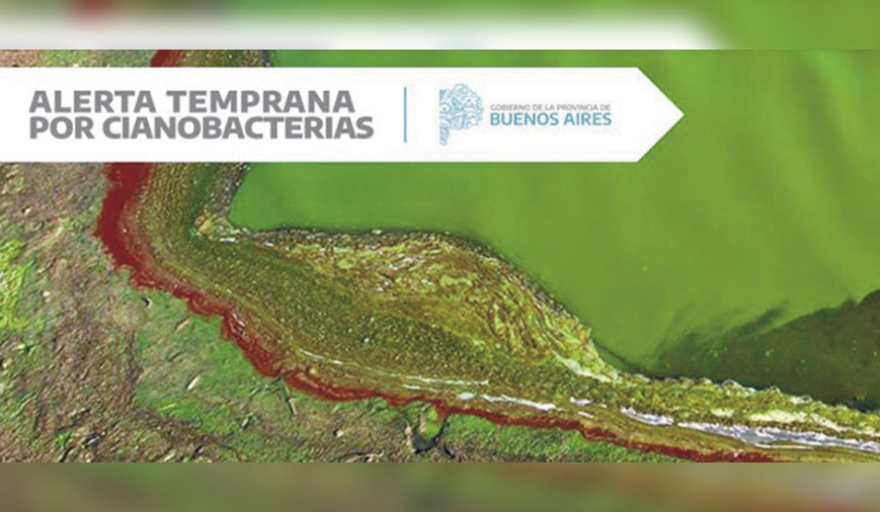 Doce lagunas bonaerenses en alerta naranja por cianobacterias y Pehuajó en rojo