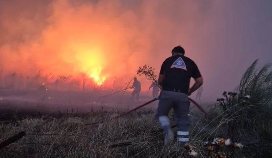 Incendios forestales en el sur de Mar del Plata ya afectaron más de 200 hectáreas