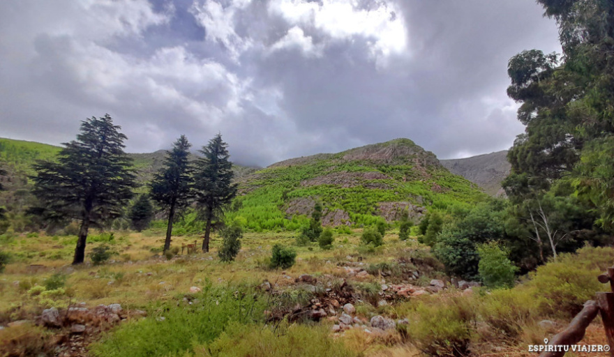 Tandil, Villa Ventana y Azul: destinos ideales para disfrutar las vacaciones de invierno