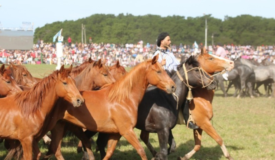 La Fiesta del Talar vuelve a Madariaga con una semana de jineteadas y peñas